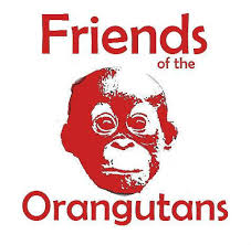 friends of orangutans